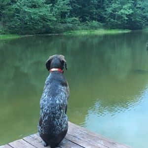 Meet your Posher, Roxana